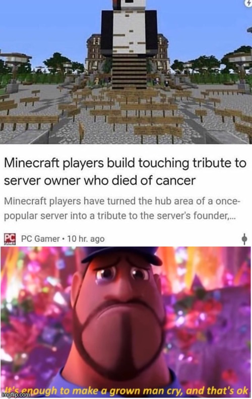This is so wholesome | image tagged in it's enough to make a grown man cry and that's ok,minecraft,minecraft memes,gaming,wholesome,memes | made w/ Imgflip meme maker