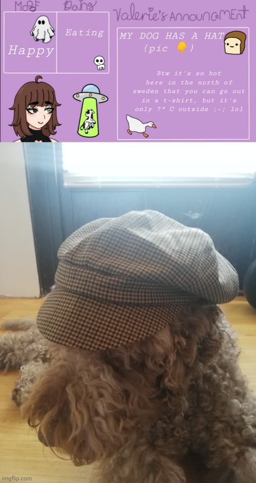 Eating; MY DOG HAS A HAT
(pic 👇); Happy; Btw it's so hot here in the north of sweden that you can go out in a t-shirt, but it's only 7° C outside ;-; lol | image tagged in valerie's announcement template | made w/ Imgflip meme maker