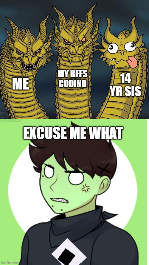 what | MY BFFS CODING; 14 YR SIS; ME; EXCUSE ME WHAT | image tagged in three-headed dragon,excuse me what | made w/ Imgflip meme maker