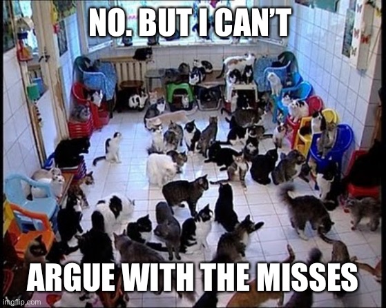 Crazy cat Lady | NO. BUT I CAN’T ARGUE WITH THE MISSES | image tagged in crazy cat lady | made w/ Imgflip meme maker