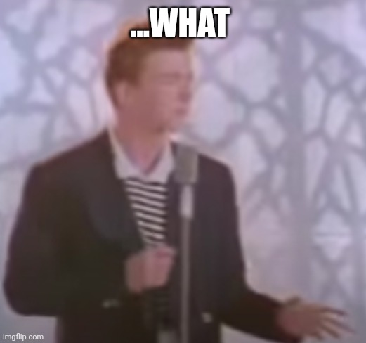 i'm sorry what? (rick astley) | ...WHAT | image tagged in i'm sorry what rick astley | made w/ Imgflip meme maker