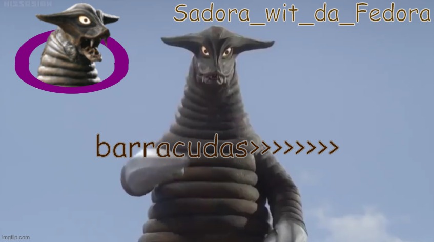 bhj m | barracudas>>>>>>>> | made w/ Imgflip meme maker