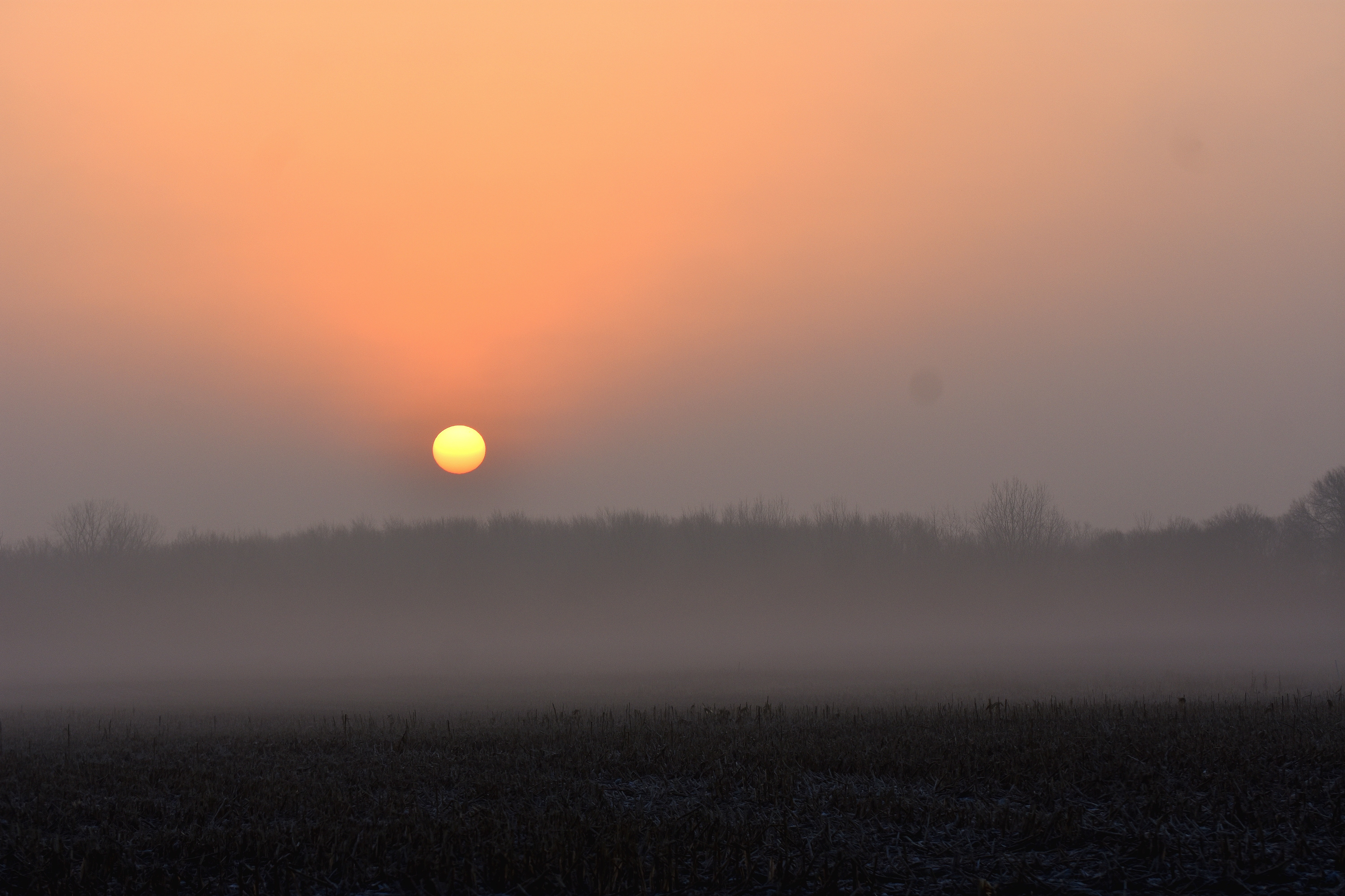 sunrise in the fog | image tagged in good morning,sunrise | made w/ Imgflip meme maker