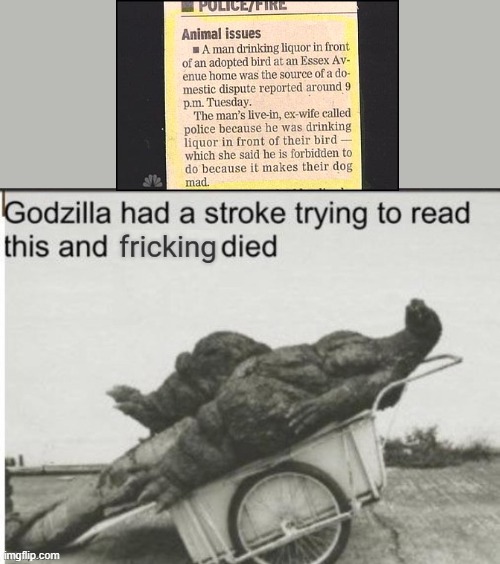 nah naha ahanhanahanahana | image tagged in godzilla had a stroke trying to read this and fricking died | made w/ Imgflip meme maker