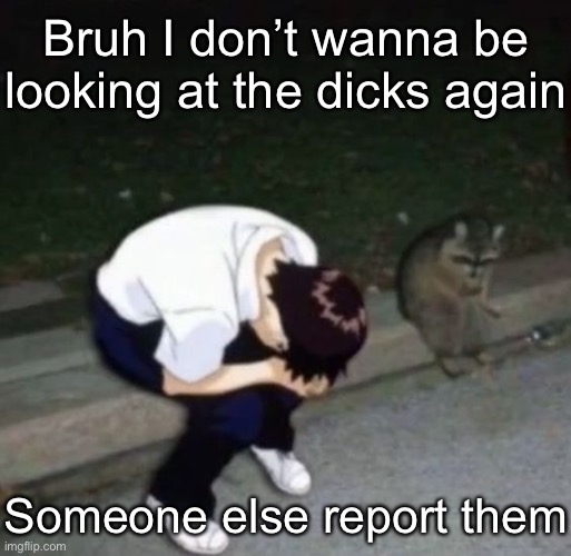 shinj crying with his raccoon homie | Bruh I don’t wanna be looking at the dicks again; Someone else report them | image tagged in shinj crying with his raccoon homie | made w/ Imgflip meme maker