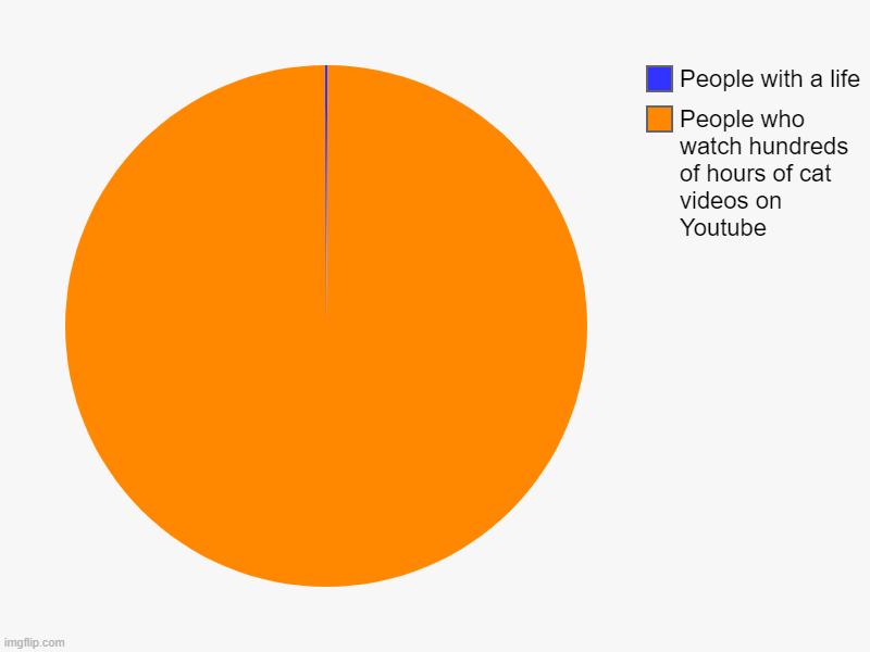 People who watch hundreds of hours of cat videos on Youtube, People with a life | image tagged in charts,pie charts,life,people with a life,cat videos,youtube | made w/ Imgflip chart maker