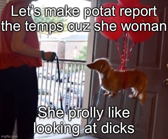 walkin me dog fr | Let’s make potat report the temps cuz she woman; She prolly like looking at dicks | image tagged in walkin me dog fr | made w/ Imgflip meme maker