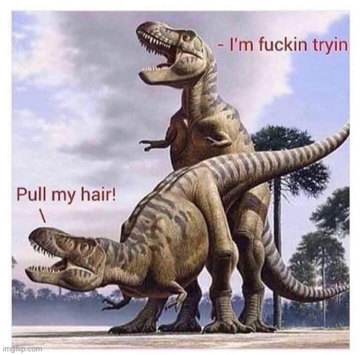 Dinosaur sex | image tagged in dinosaur sex | made w/ Imgflip meme maker