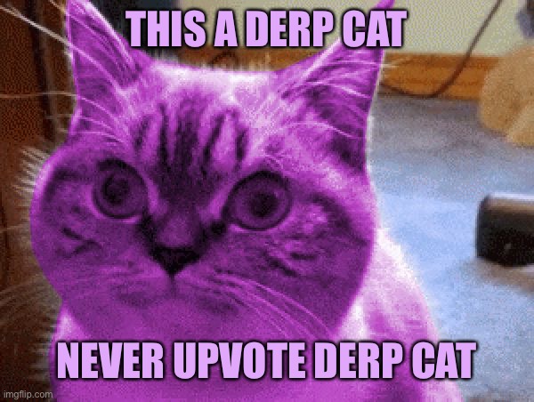 Never upvote Derp Cat | THIS A DERP CAT; NEVER UPVOTE DERP CAT | image tagged in raycat derp,memes | made w/ Imgflip meme maker