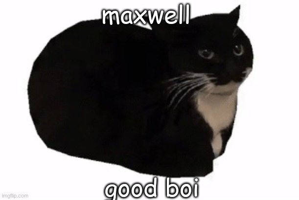 this song gets stuck in my head some times | maxwell; good boi | image tagged in maxwell the cat | made w/ Imgflip meme maker