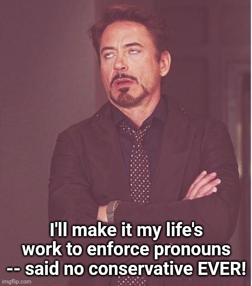 Face You Make Robert Downey Jr Meme | I'll make it my life's work to enforce pronouns -- said no conservative EVER! | image tagged in memes,face you make robert downey jr | made w/ Imgflip meme maker