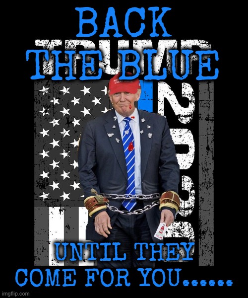BACK THE BLUE? | BACK THE BLUE; UNTIL THEY COME FOR YOU...... | image tagged in back the blue,criminal,hypocrite,false pride,pigs,law enforcement | made w/ Imgflip meme maker