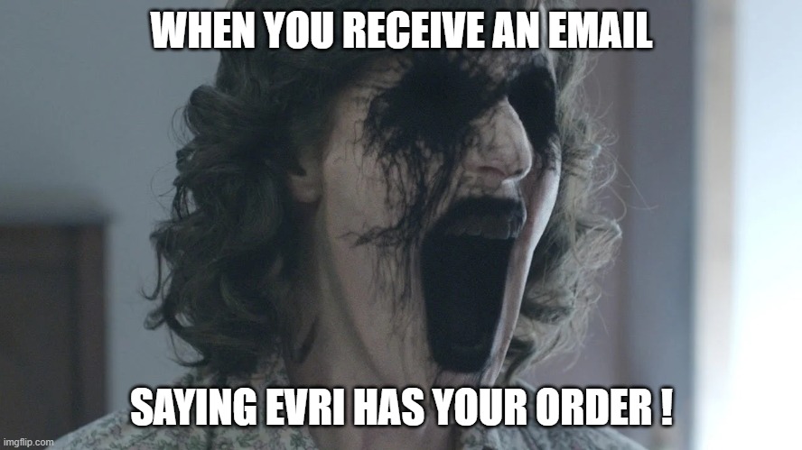 horror | WHEN YOU RECEIVE AN EMAIL; SAYING EVRI HAS YOUR ORDER ! | image tagged in shock,delivery | made w/ Imgflip meme maker