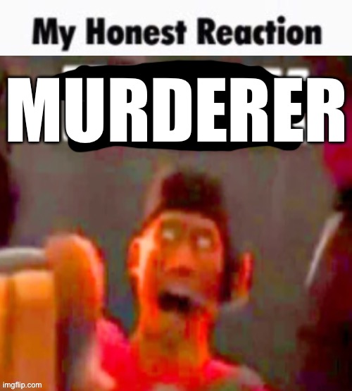 My honest reaction | MURDERER | image tagged in my honest reaction | made w/ Imgflip meme maker