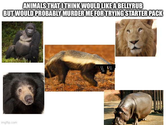 But they look so cuddly!!!! | ANIMALS THAT I THINK WOULD LIKE A BELLYRUB BUT WOULD PROBABLY MURDER ME FOR TRYING STARTER PACK | image tagged in starter pack | made w/ Imgflip meme maker