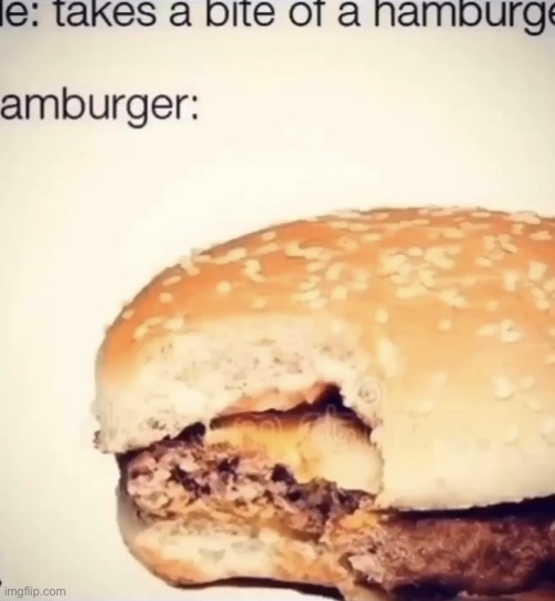 Hamburger | image tagged in hamburger | made w/ Imgflip meme maker