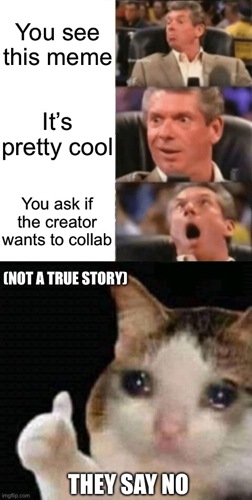 You see this meme It’s pretty cool You ask if the creator wants to collab THEY SAY NO (NOT A TRUE STORY) | image tagged in guys reaction meme template,sad thumbs up cat | made w/ Imgflip meme maker