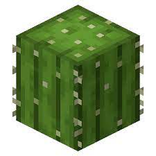 Minecraft Cactus Blank Meme Template