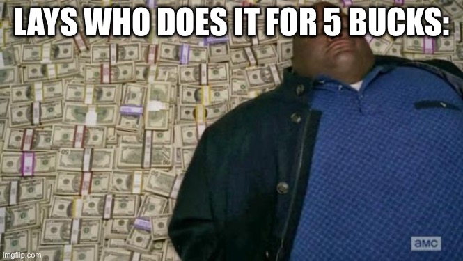 huell money | LAYS WHO DOES IT FOR 5 BUCKS: | image tagged in huell money | made w/ Imgflip meme maker