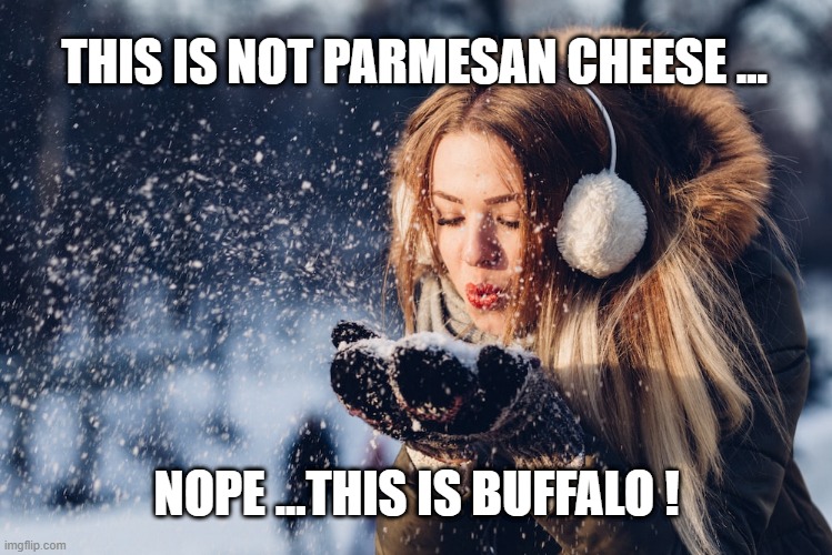 Buffalo Girl In Winter | THIS IS NOT PARMESAN CHEESE ... NOPE ...THIS IS BUFFALO ! | image tagged in winter is here | made w/ Imgflip meme maker