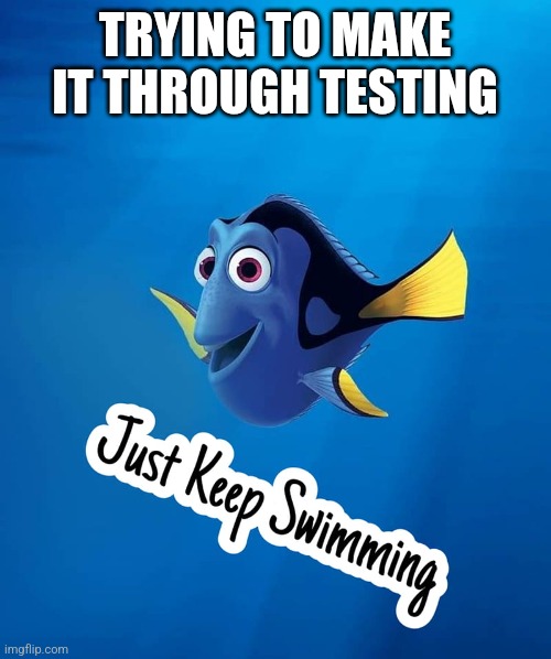 TRYING TO MAKE IT THROUGH TESTING | image tagged in funny memes | made w/ Imgflip meme maker