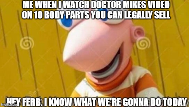 Hey Ferb | ME WHEN I WATCH DOCTOR MIKES VIDEO ON 10 BODY PARTS YOU CAN LEGALLY SELL; HEY FERB. I KNOW WHAT WE'RE GONNA DO TODAY | image tagged in hey ferb | made w/ Imgflip meme maker