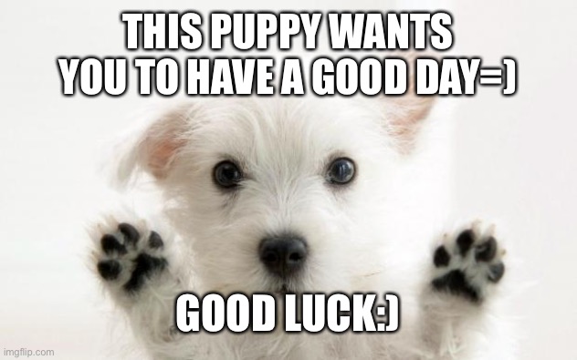Have a good day=) | THIS PUPPY WANTS YOU TO HAVE A GOOD DAY=); GOOD LUCK:) | image tagged in cute dog,have a nice day | made w/ Imgflip meme maker