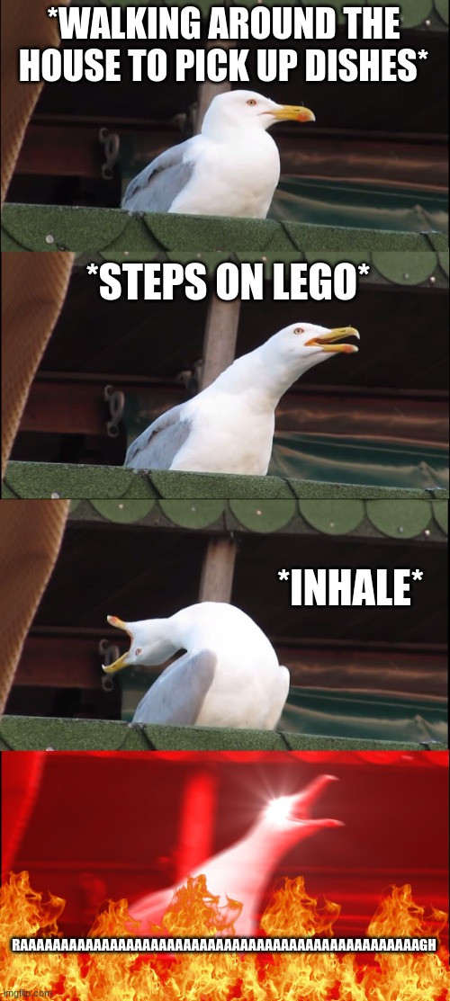 The pain | *WALKING AROUND THE HOUSE TO PICK UP DISHES*; *STEPS ON LEGO*; *INHALE*; RAAAAAAAAAAAAAAAAAAAAAAAAAAAAAAAAAAAAAAAAAAAAAAAAAGH | image tagged in memes,inhaling seagull | made w/ Imgflip meme maker