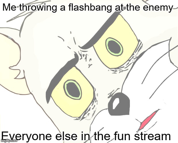 FLASHBANG! | Me throwing a flashbang at the enemy; Everyone else in the fun stream | image tagged in memes,unsettled tom | made w/ Imgflip meme maker