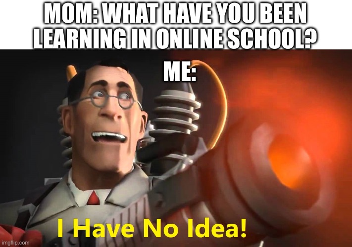 2020… | MOM: WHAT HAVE YOU BEEN LEARNING IN ONLINE SCHOOL? ME: | image tagged in i have no idea medic version | made w/ Imgflip meme maker