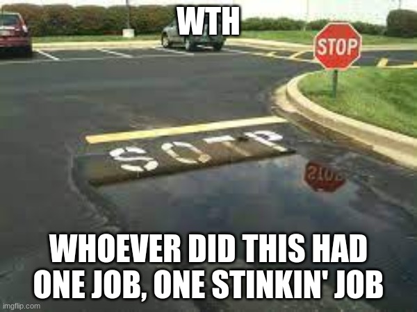 Cringe | WTH; WHOEVER DID THIS HAD ONE JOB, ONE STINKIN' JOB | image tagged in you had one job,cringe,pain | made w/ Imgflip meme maker