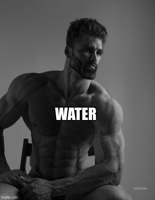 Giga Chad | WATER | image tagged in giga chad | made w/ Imgflip meme maker