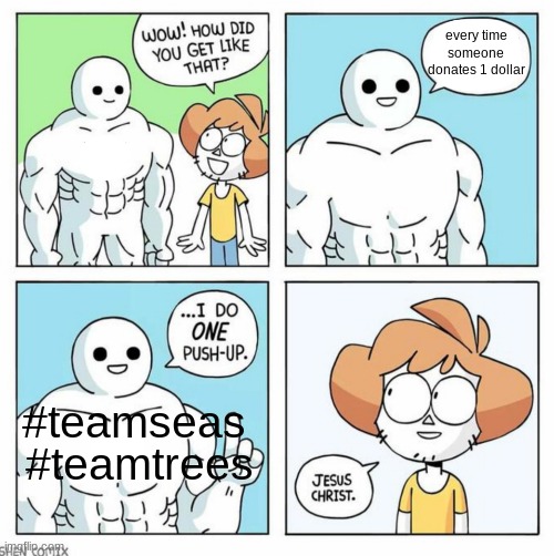 wow how did you get like that template | every time someone donates 1 dollar #teamtrees #teamseas | image tagged in wow how did you get like that template | made w/ Imgflip meme maker