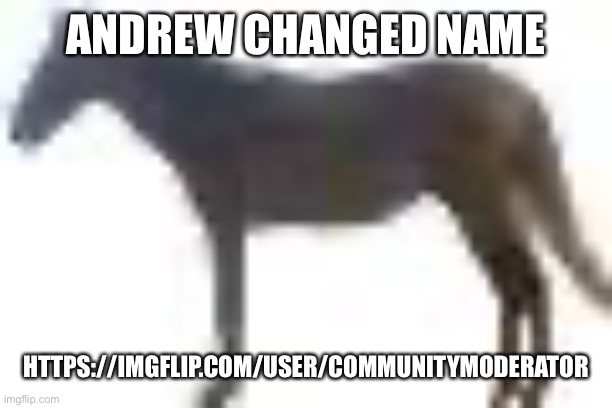 man.png | ANDREW CHANGED NAME; HTTPS://IMGFLIP.COM/USER/COMMUNITYMODERATOR | image tagged in man png | made w/ Imgflip meme maker