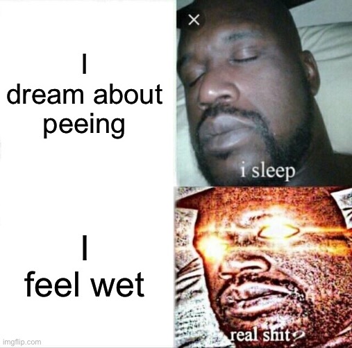 Sleeping Shaq |  I dream about peeing; I feel wet | image tagged in memes,sleeping shaq | made w/ Imgflip meme maker
