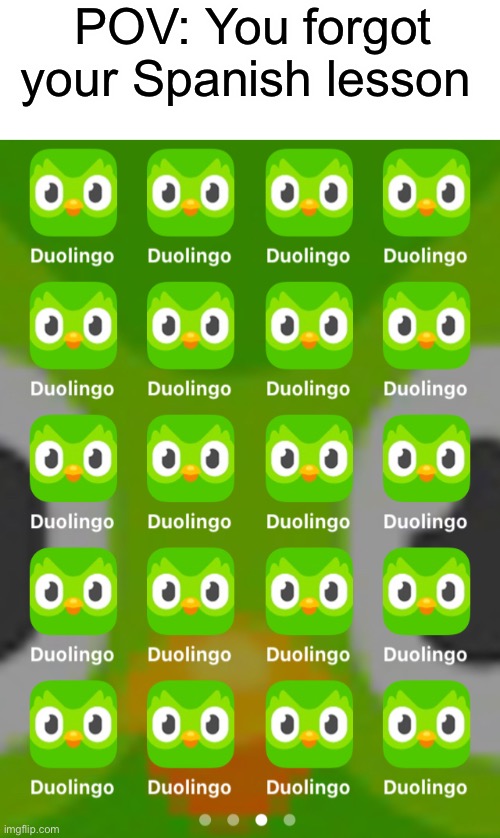 Duo has taken over my phone | POV: You forgot your Spanish lesson | image tagged in duolingo,memes,funny | made w/ Imgflip meme maker