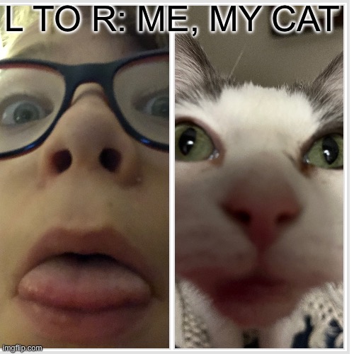 Yes that is actually my cat | L TO R: ME, MY CAT | image tagged in cats | made w/ Imgflip meme maker