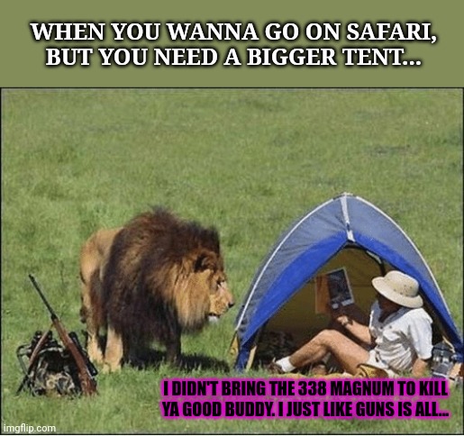 Comment below if you want a Big Tent Congress seat. | WHEN YOU WANNA GO ON SAFARI, BUT YOU NEED A BIGGER TENT... I DIDN'T BRING THE 338 MAGNUM TO KILL YA GOOD BUDDY. I JUST LIKE GUNS IS ALL... | image tagged in big tent party,safari,big game hunting,lion,stop it get some help | made w/ Imgflip meme maker