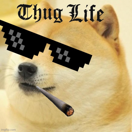 Thug Life | image tagged in memes,doge | made w/ Imgflip meme maker