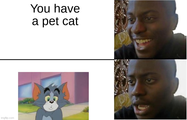 Tom | You have a pet cat | image tagged in disappointed black guy | made w/ Imgflip meme maker