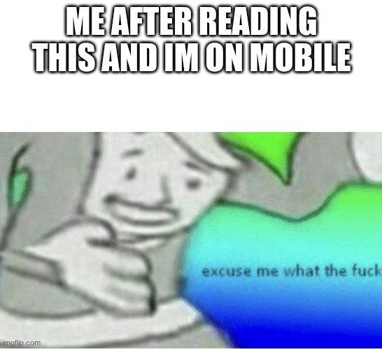 Excuse me wtf blank template | ME AFTER READING THIS AND IM ON MOBILE | image tagged in excuse me wtf blank template | made w/ Imgflip meme maker