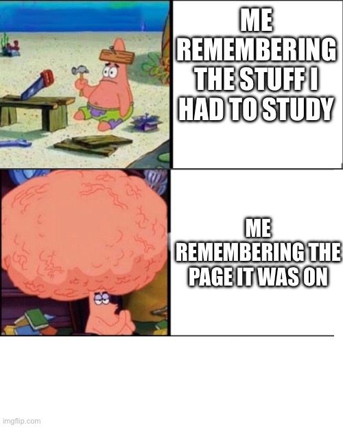 Like fr | ME REMEMBERING THE STUFF I HAD TO STUDY; ME REMEMBERING THE PAGE IT WAS ON | image tagged in blank white template | made w/ Imgflip meme maker