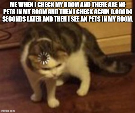 Meme #10 (2023) | ME WHEN I CHECK MY ROOM AND THERE ARE NO PETS IN MY ROOM AND THEN I CHECK AGAIN 0.00004 SECONDS LATER AND THEN I SEE AN PETS IN MY ROOM. | image tagged in loading cat | made w/ Imgflip meme maker