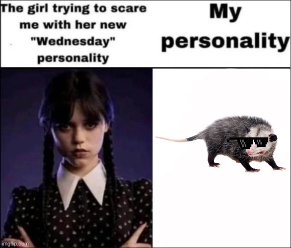 POSSUM | image tagged in the girl trying to scare me with her new wednesday personality | made w/ Imgflip meme maker