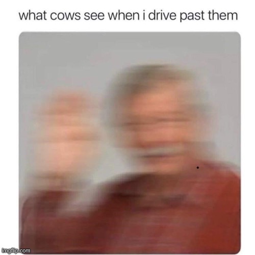 image tagged in cows,repost,so true memes,wave,memes,funny | made w/ Imgflip meme maker