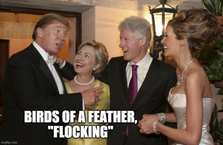 Trump and Clinton | BIRDS OF A FEATHER,
"FLOCKING" | image tagged in trump and clinton | made w/ Imgflip meme maker