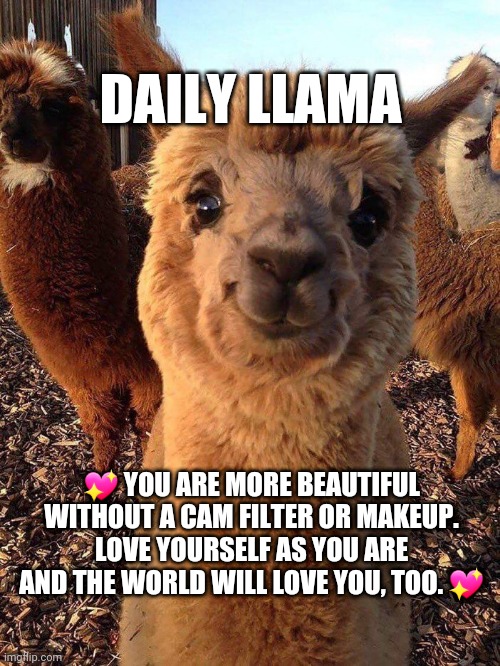 Love Yourself | DAILY LLAMA; 💖 YOU ARE MORE BEAUTIFUL WITHOUT A CAM FILTER OR MAKEUP. LOVE YOURSELF AS YOU ARE AND THE WORLD WILL LOVE YOU, TOO. 💖 | image tagged in daily,i love you,words of wisdom,self esteem | made w/ Imgflip meme maker