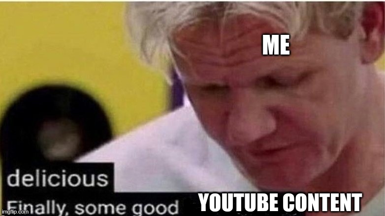 Finally | ME; YOUTUBE CONTENT | image tagged in gordon ramsay finally some good censored ed | made w/ Imgflip meme maker