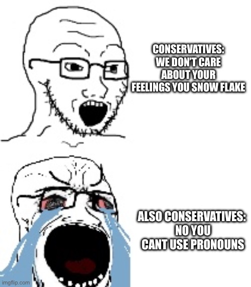 THIS IS THE TRUTH! | CONSERVATIVES:
WE DON’T CARE ABOUT YOUR FEELINGS YOU SNOW FLAKE; ALSO CONSERVATIVES: 
NO YOU CANT USE PRONOUNS | image tagged in lgbtq | made w/ Imgflip meme maker