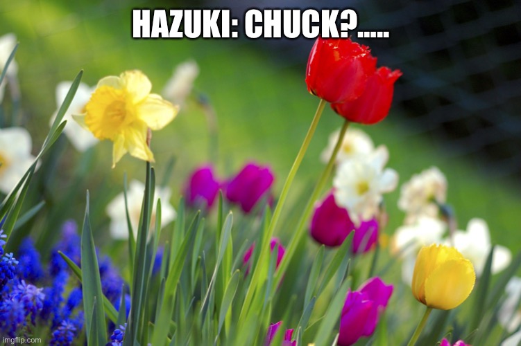 Reunited. | HAZUKI: CHUCK?….. | image tagged in spring | made w/ Imgflip meme maker